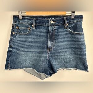 Denim Blue American Eagle Strigid Women's Shorts